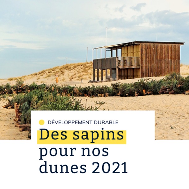 Des sapins pour nos dunes 2021